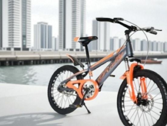 صورة دراجة مقاس 20